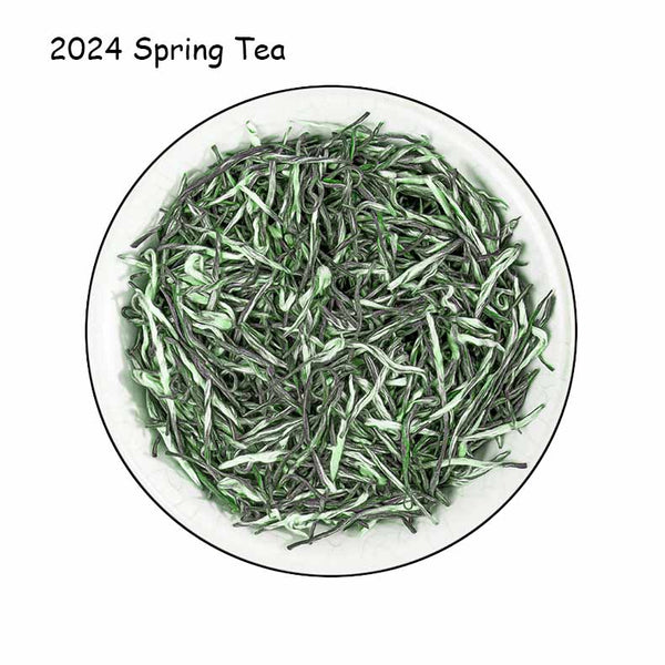 Xinyang Maojian Spring Tea