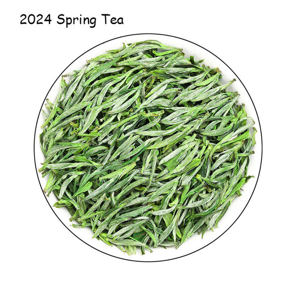 Huangshan Maofeng Spring Tea