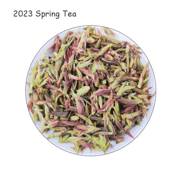 Wild Purple Bud Spring Tea