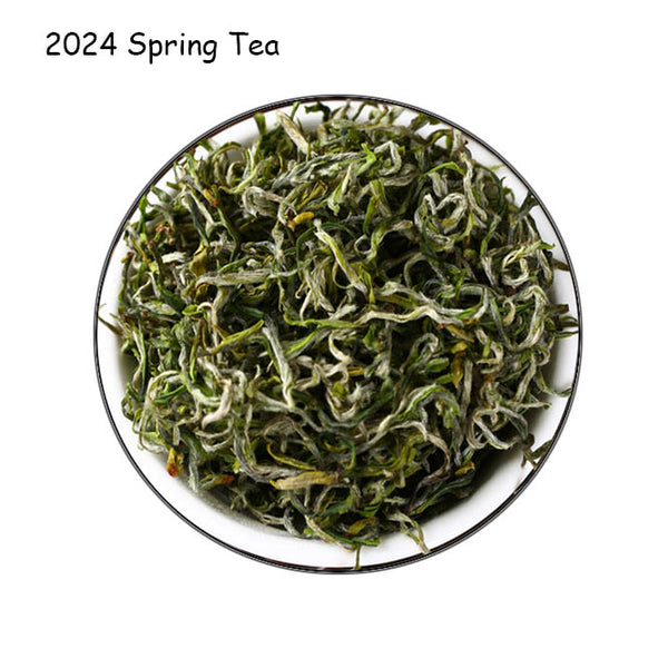 Jingshan Tea Spring Tea