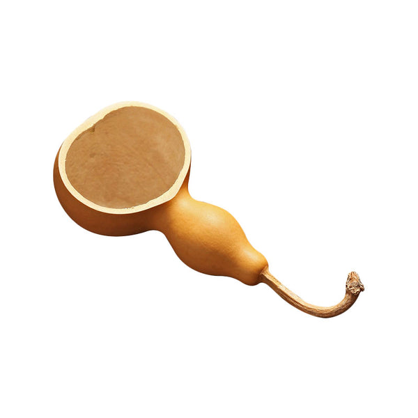 Gourd Water Ladle