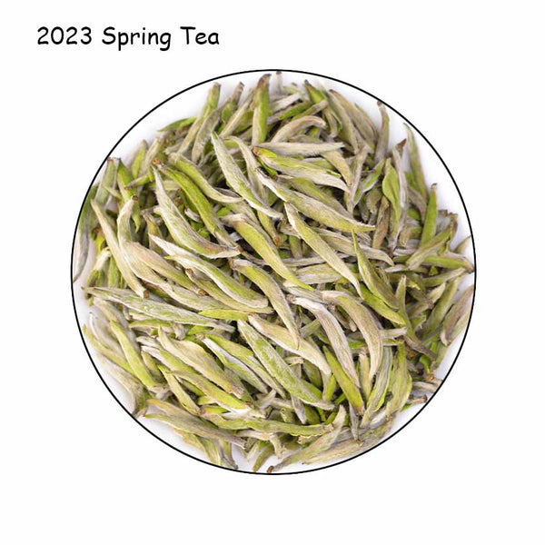Pekoe Silver Needle Loose Spring Tea