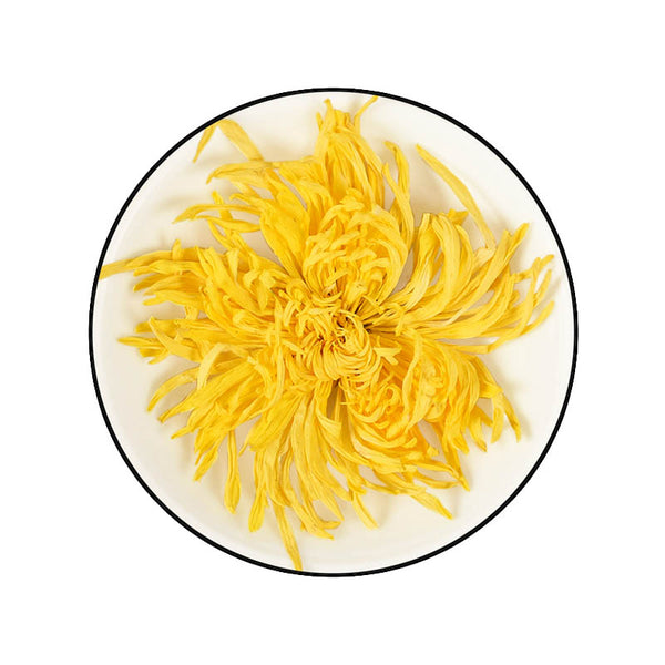 Golden Chrysanthemum
